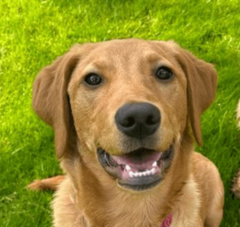 Nala's profile photo